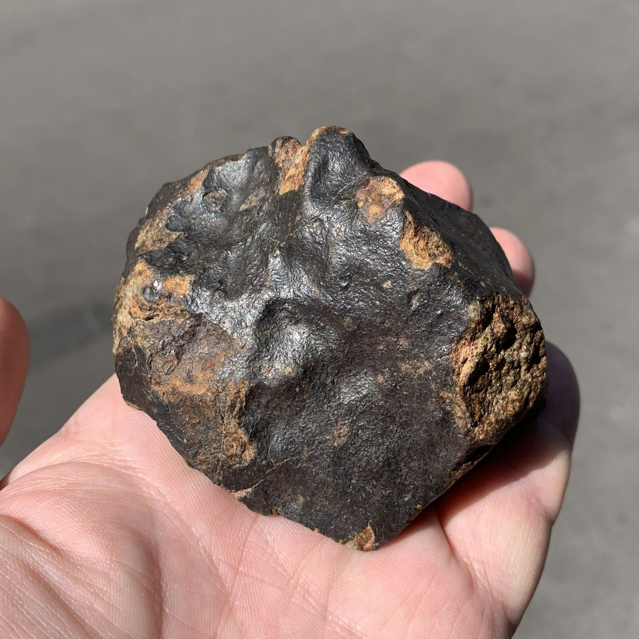 Météorite Gao