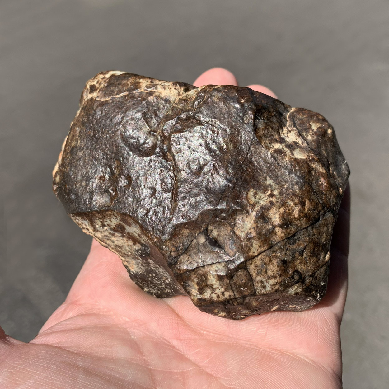 Face ciel