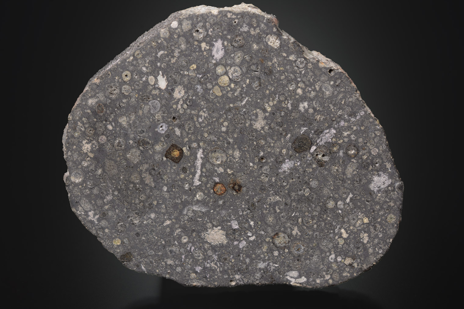 Météorite : Allende