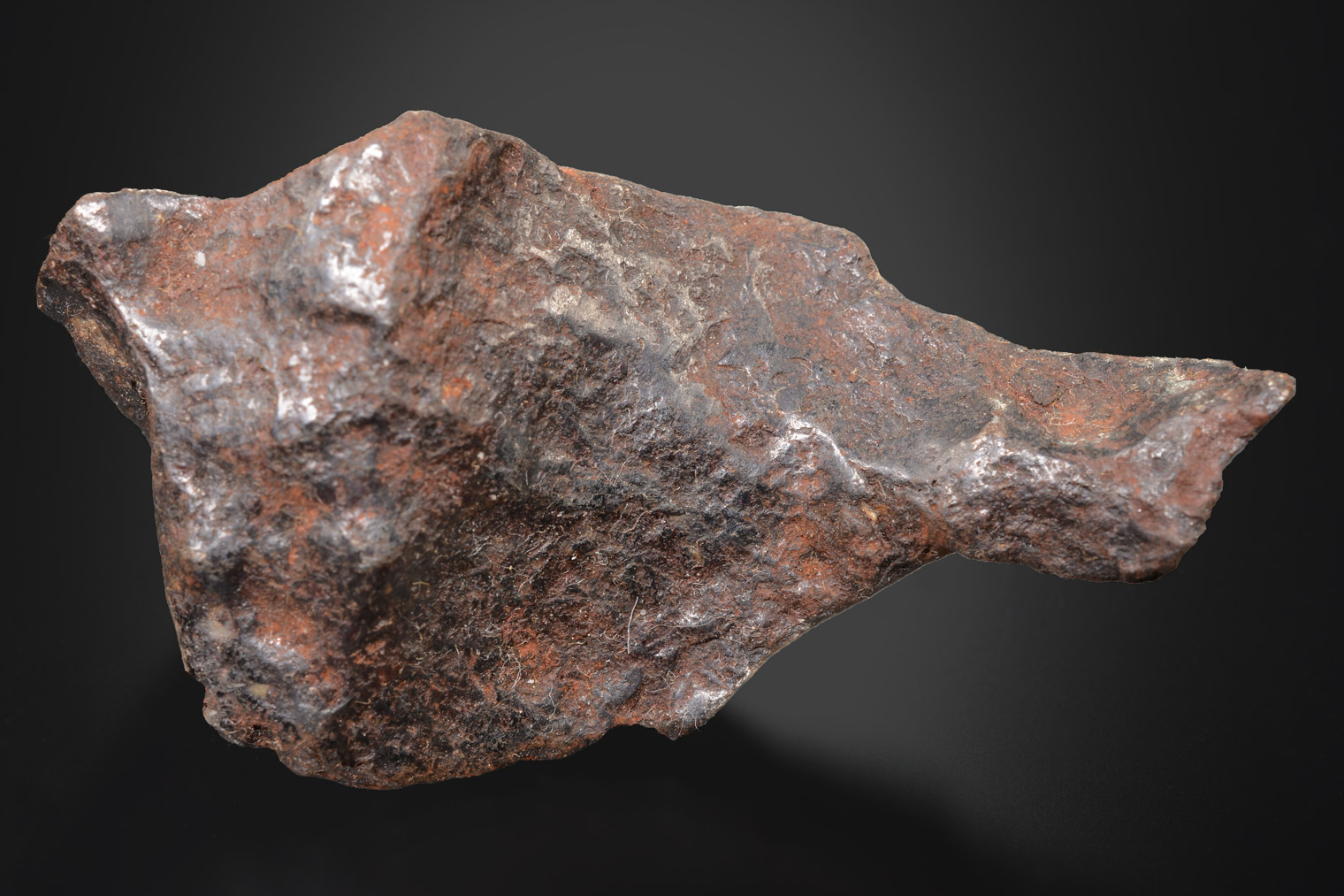 Météorite : Canyon Diablo