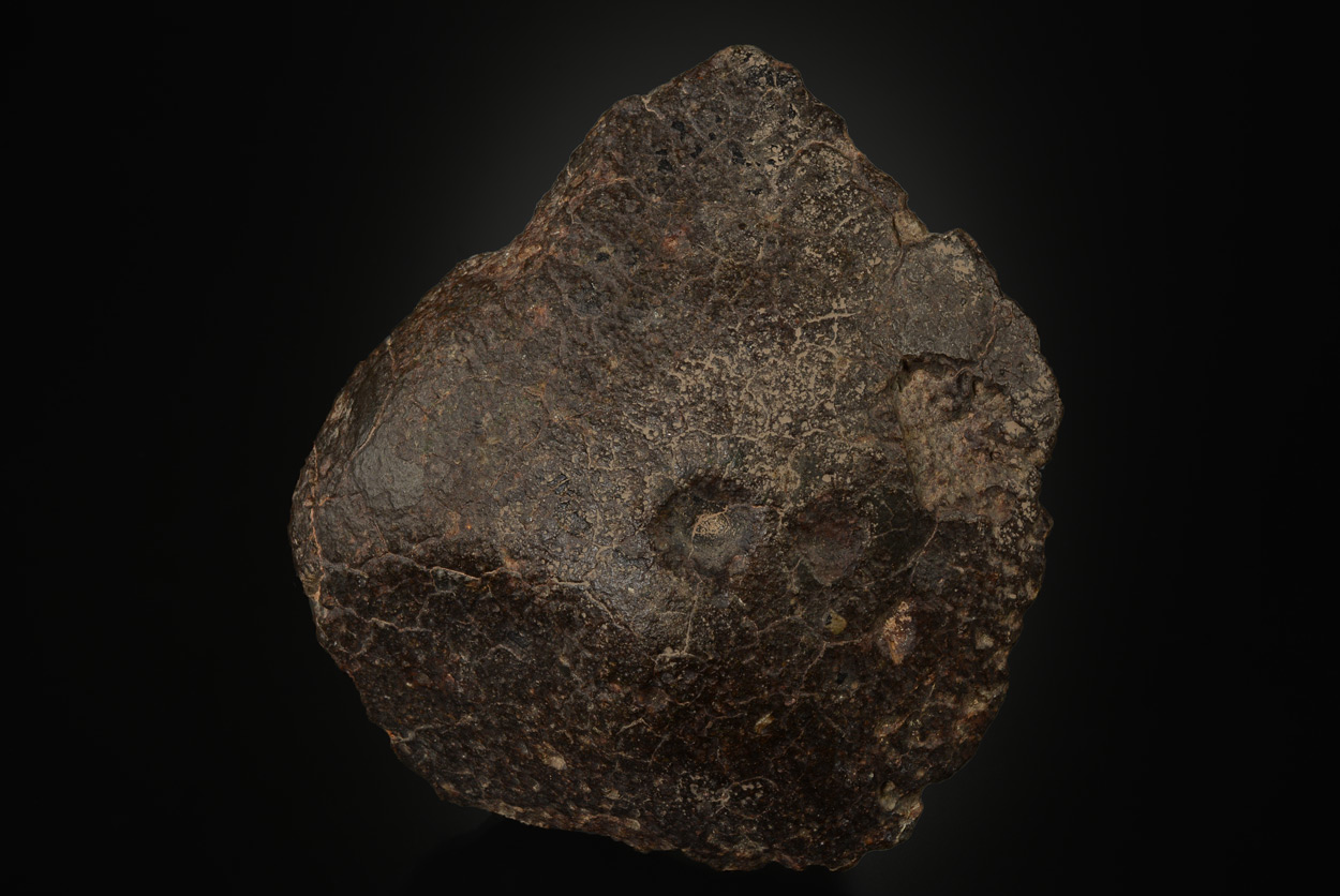 Météorite : Chondrite