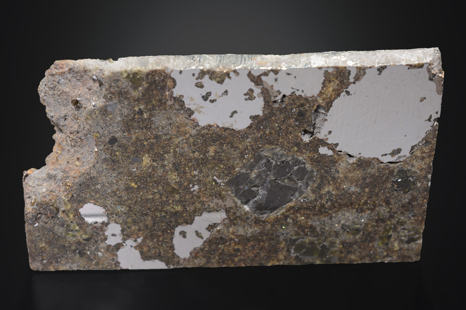 Météorite : Estherville, Iowa, Usa