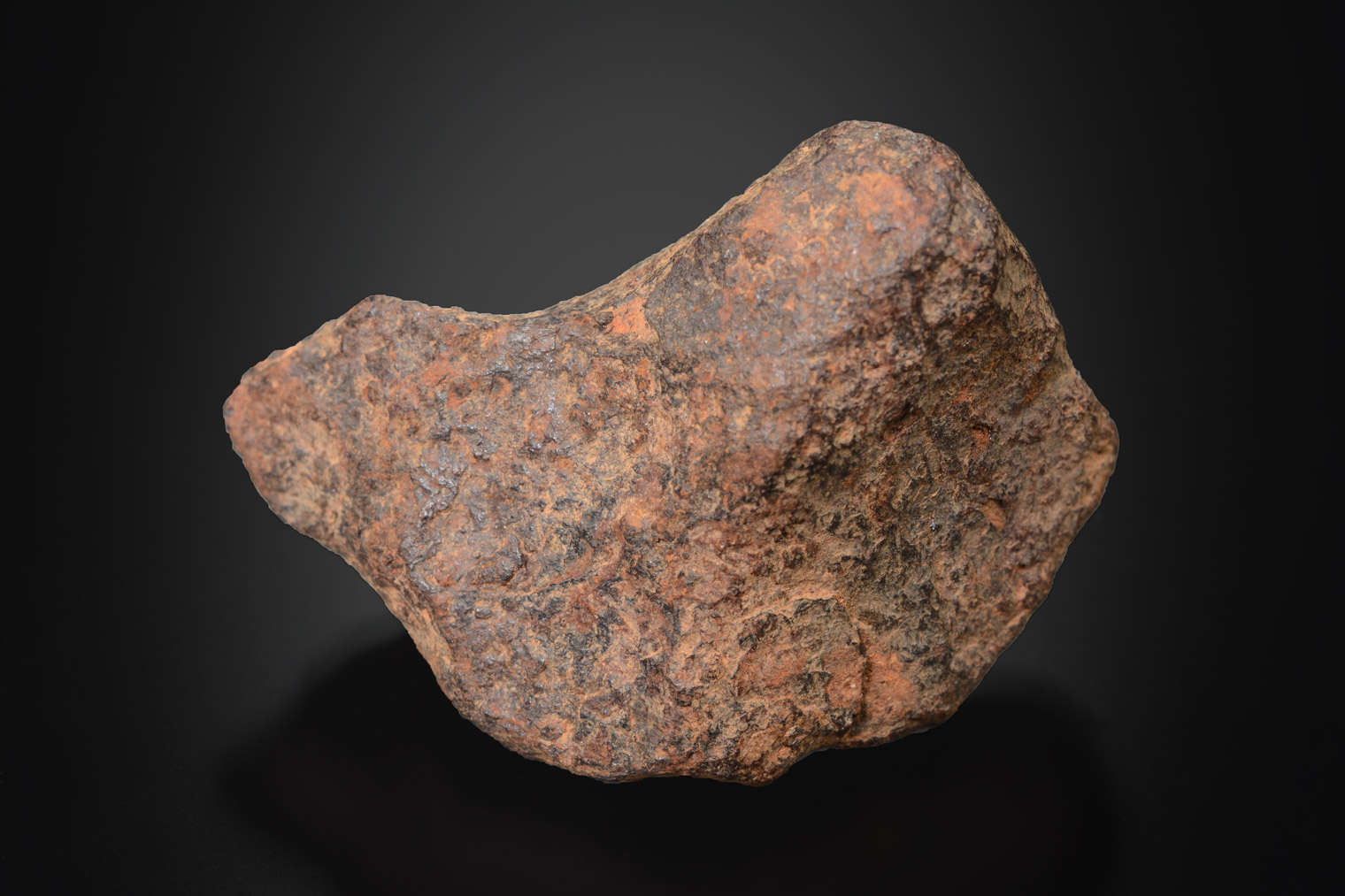 Météorite : Gibéon