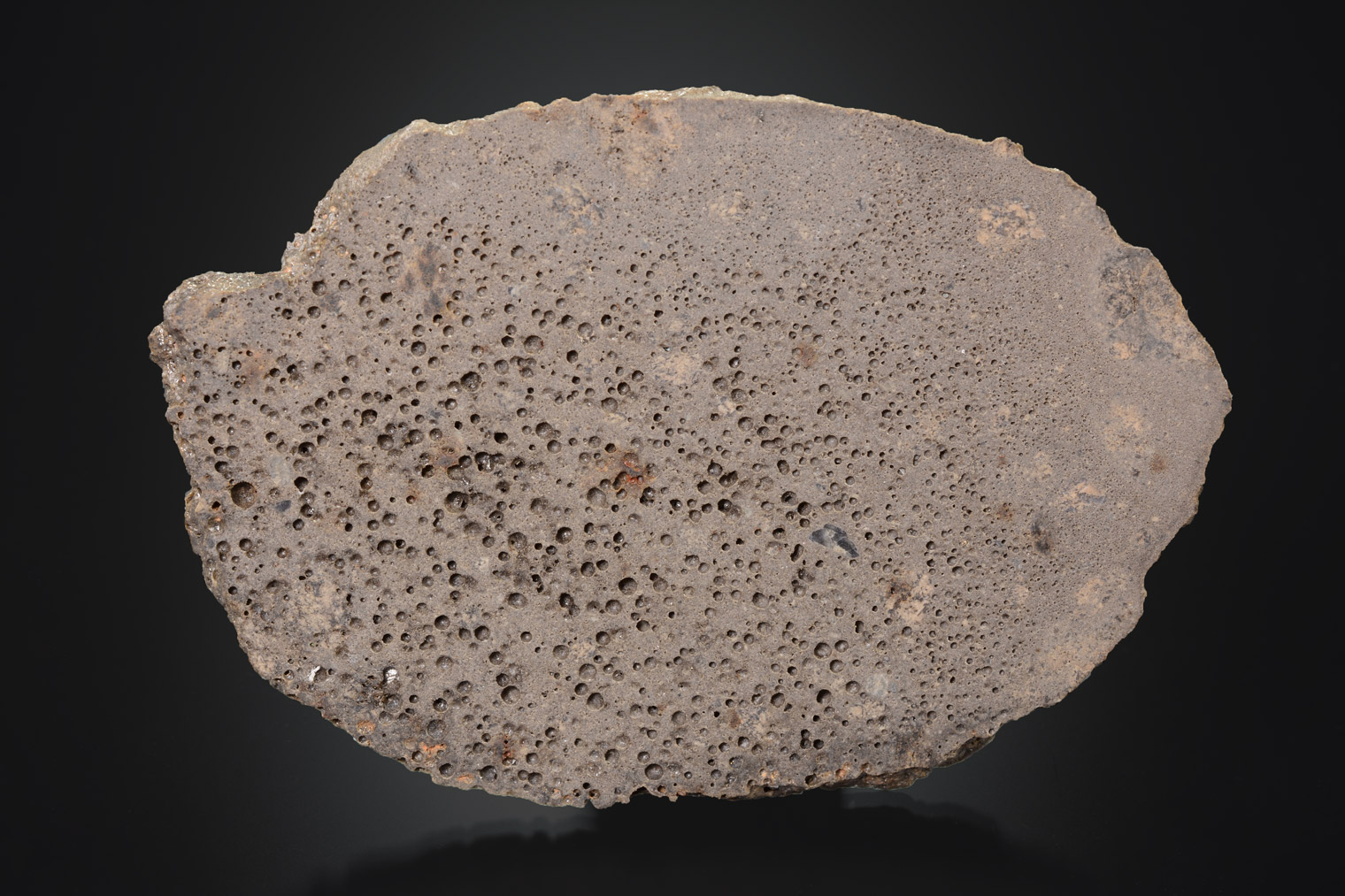 Météorite : Jikharra 001, Libye