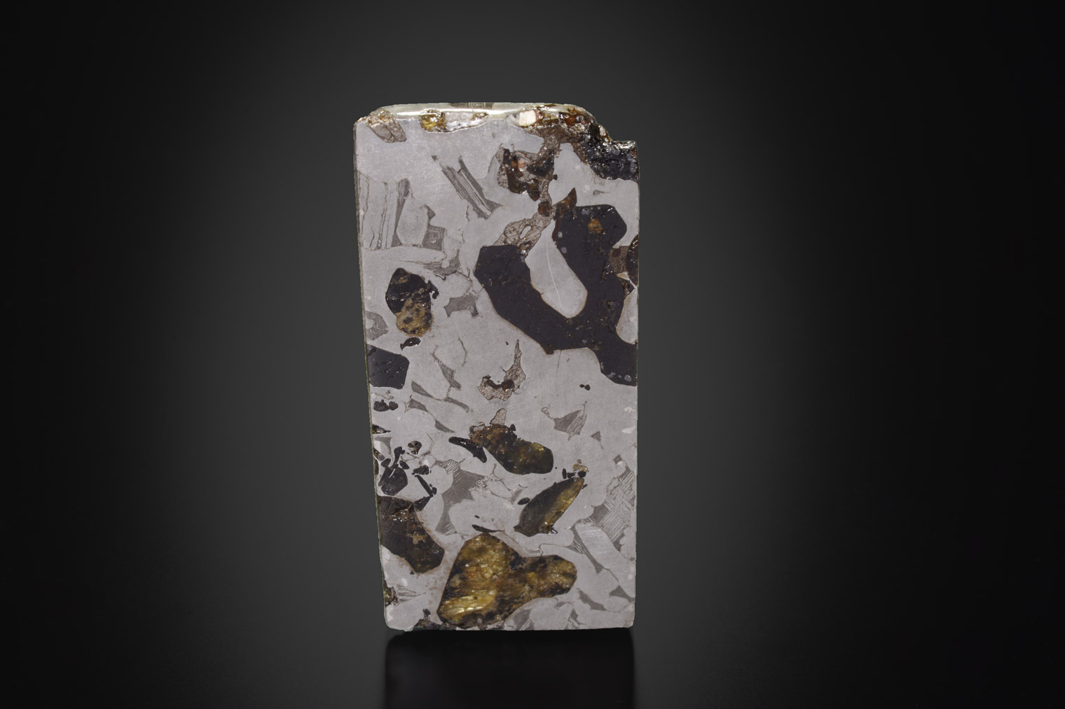 Météorite : Seymchan