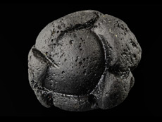 Tectites d'Asie