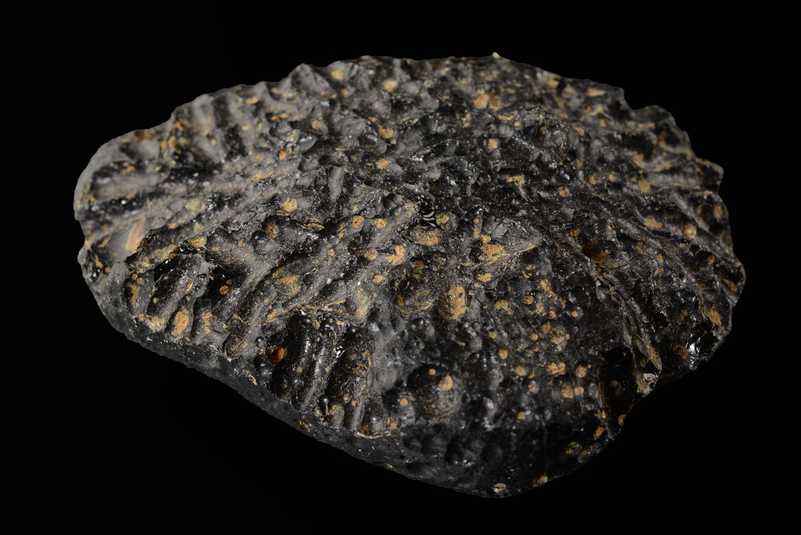 Tectite « Anda Type »