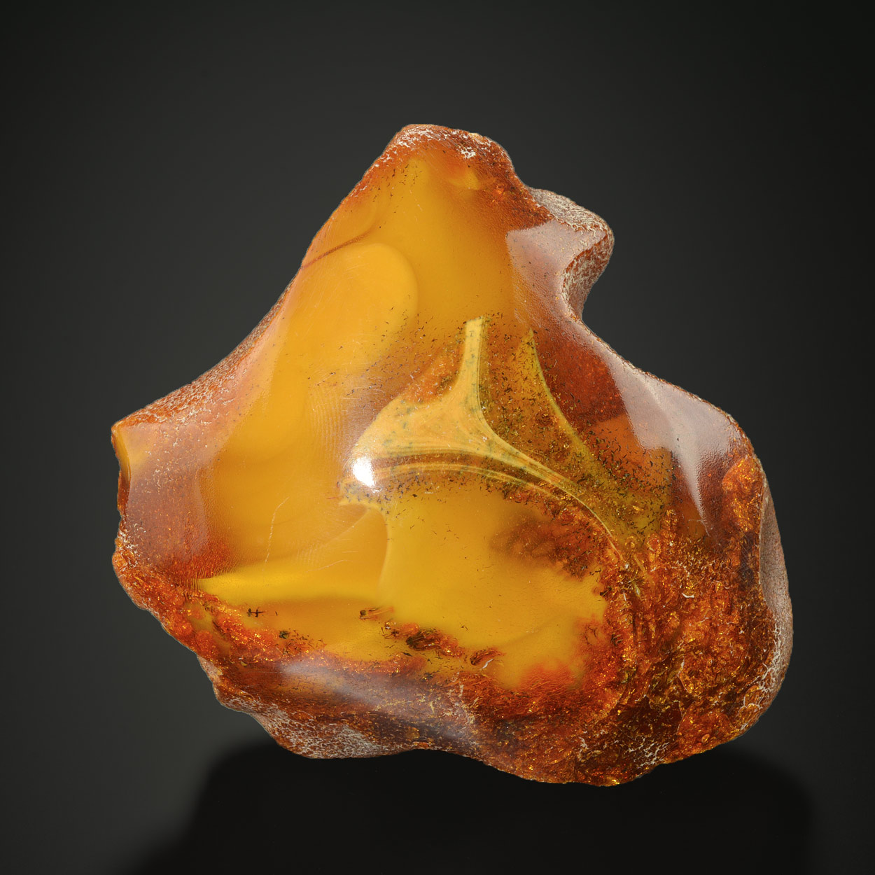 Ambre