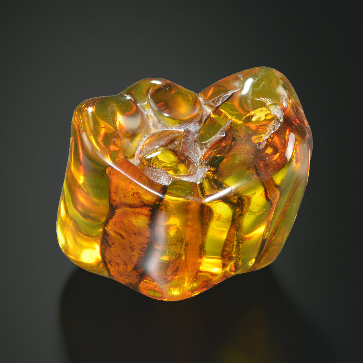 Ambre « Molaire »