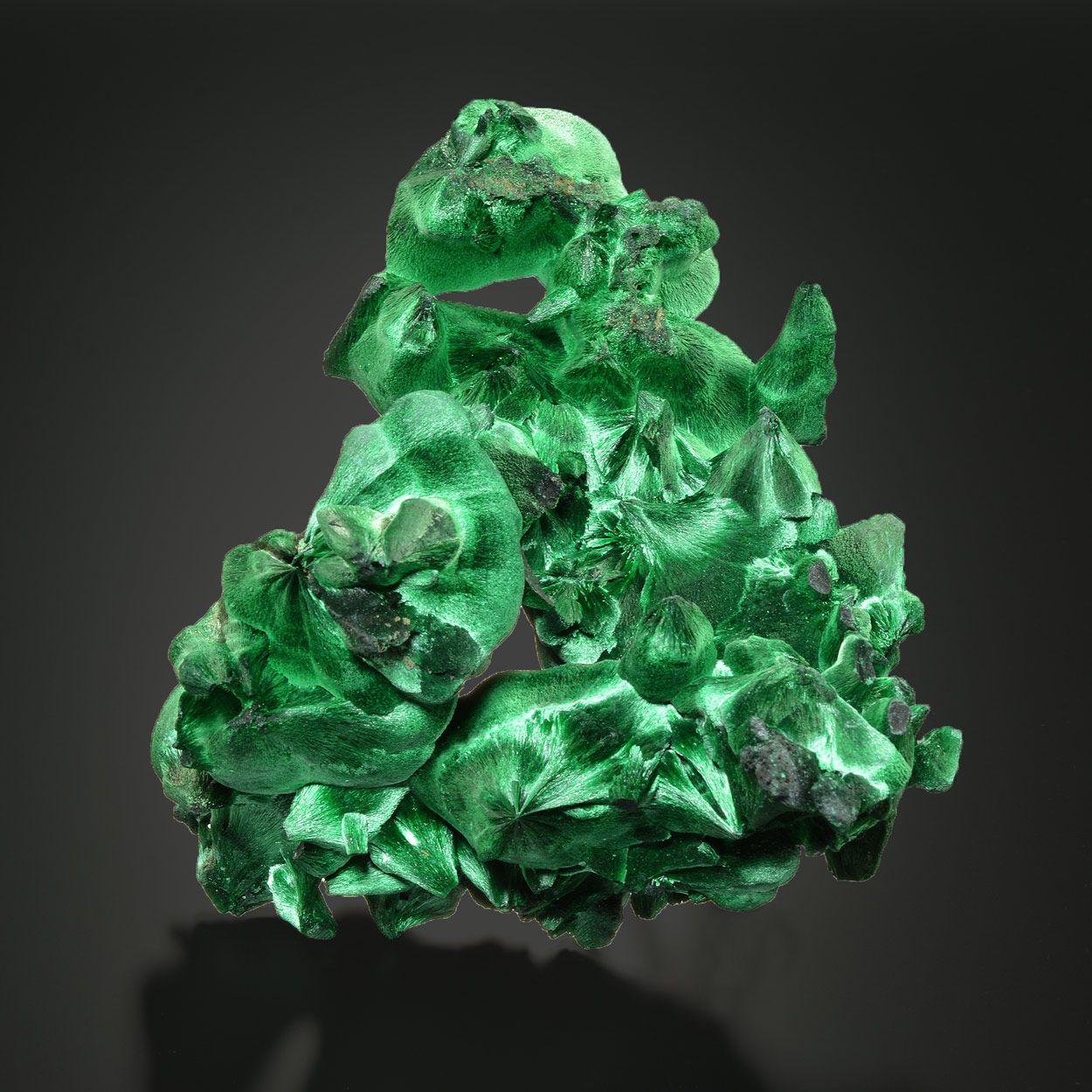 Malachite Fibreuse