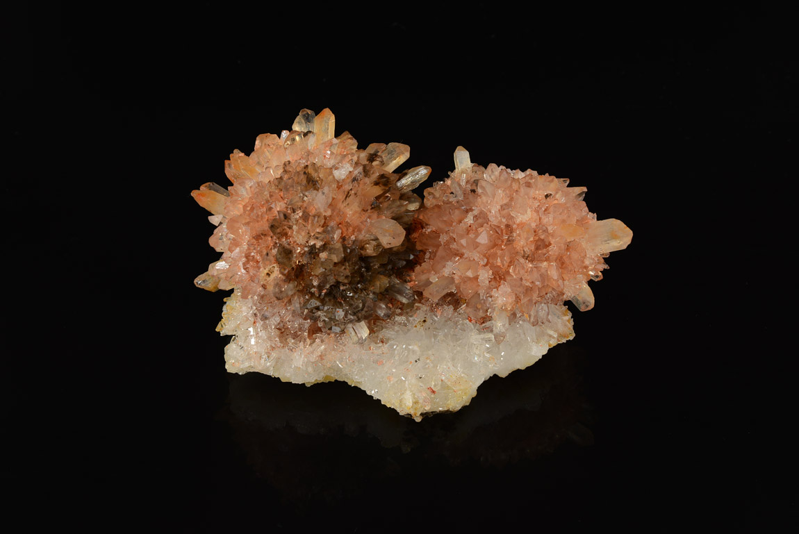 Creedite