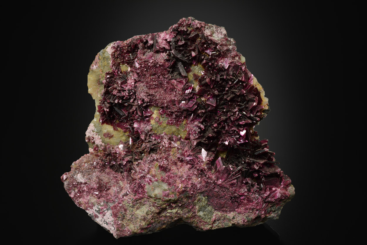 Érythrine