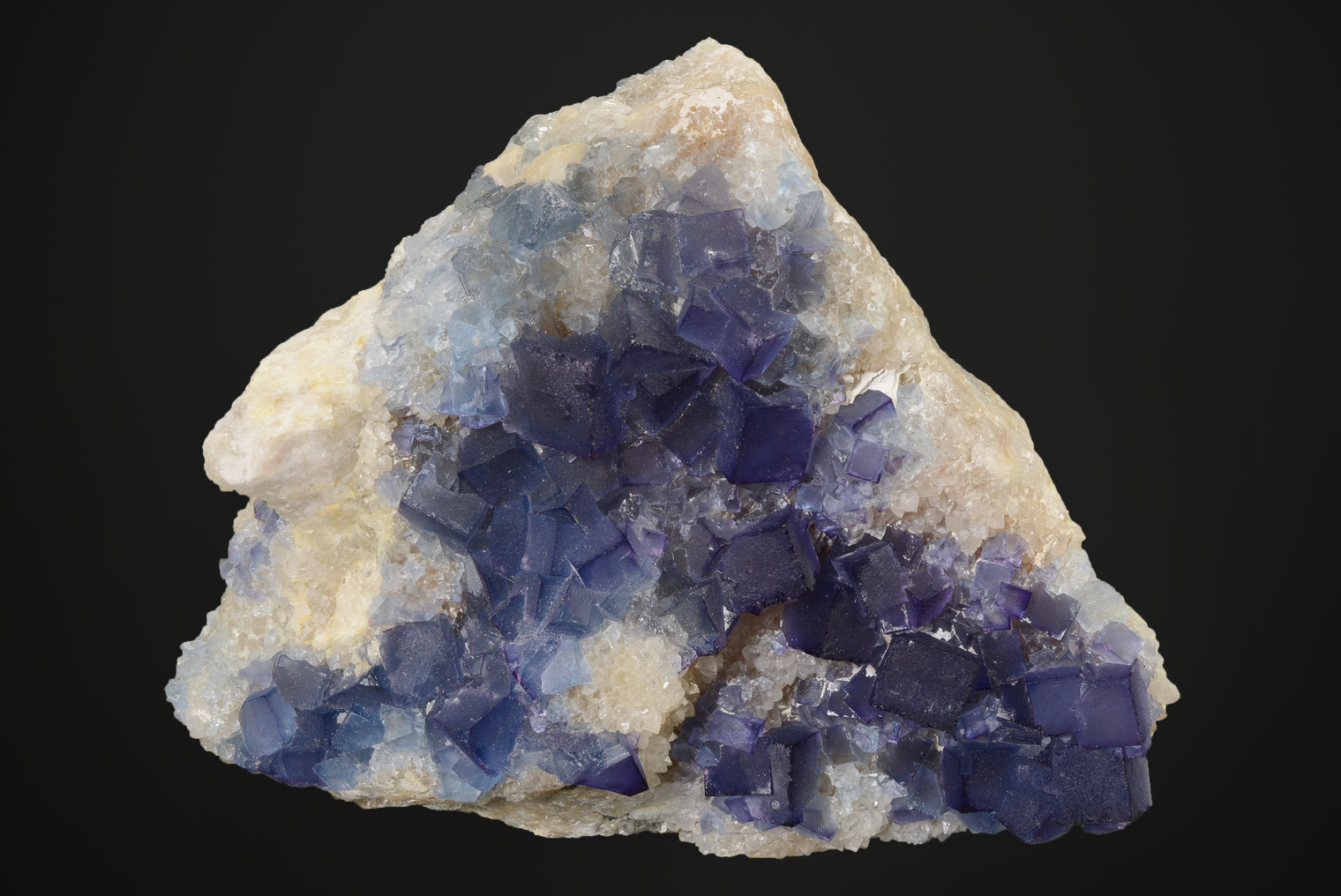 Fluorine Bleue